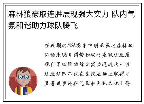 森林狼豪取连胜展现强大实力 队内气氛和谐助力球队腾飞