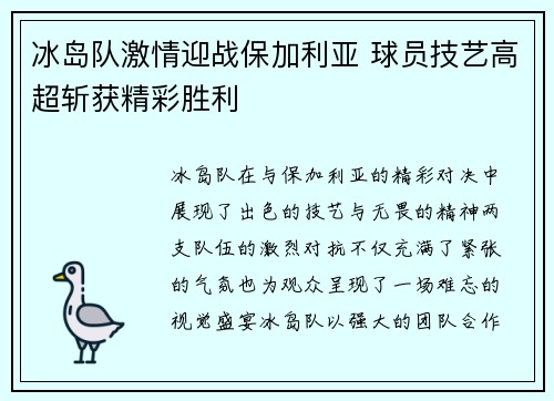 冰岛队激情迎战保加利亚 球员技艺高超斩获精彩胜利