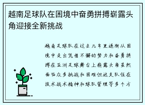 越南足球队在困境中奋勇拼搏崭露头角迎接全新挑战