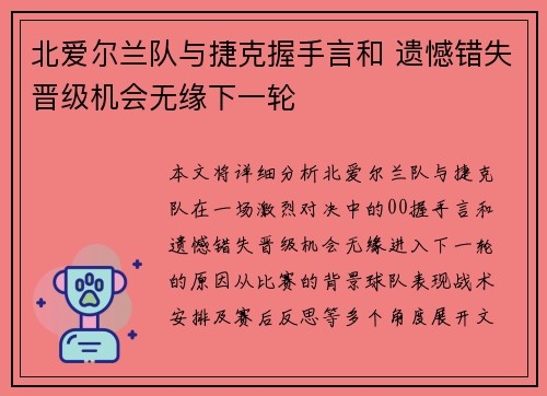 北爱尔兰队与捷克握手言和 遗憾错失晋级机会无缘下一轮